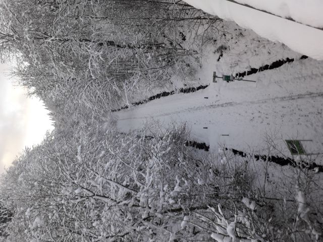 Als grenzüberschreitender Radweg lädt der Kyllradweg bei Losheim auch bei Schnee ein, hier Skilanglauf zu betreiben Als grenzüberschreitender Radweg lädt der Kyllradweg bei Losheim auch bei Schnee ein, hier Skilanglauf zu betreiben