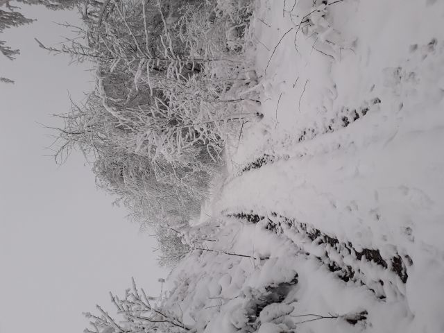 Wenn Schnee liegt, lädt das gesamte Gemeindegebiet ein, dort Erholung zu suchen.