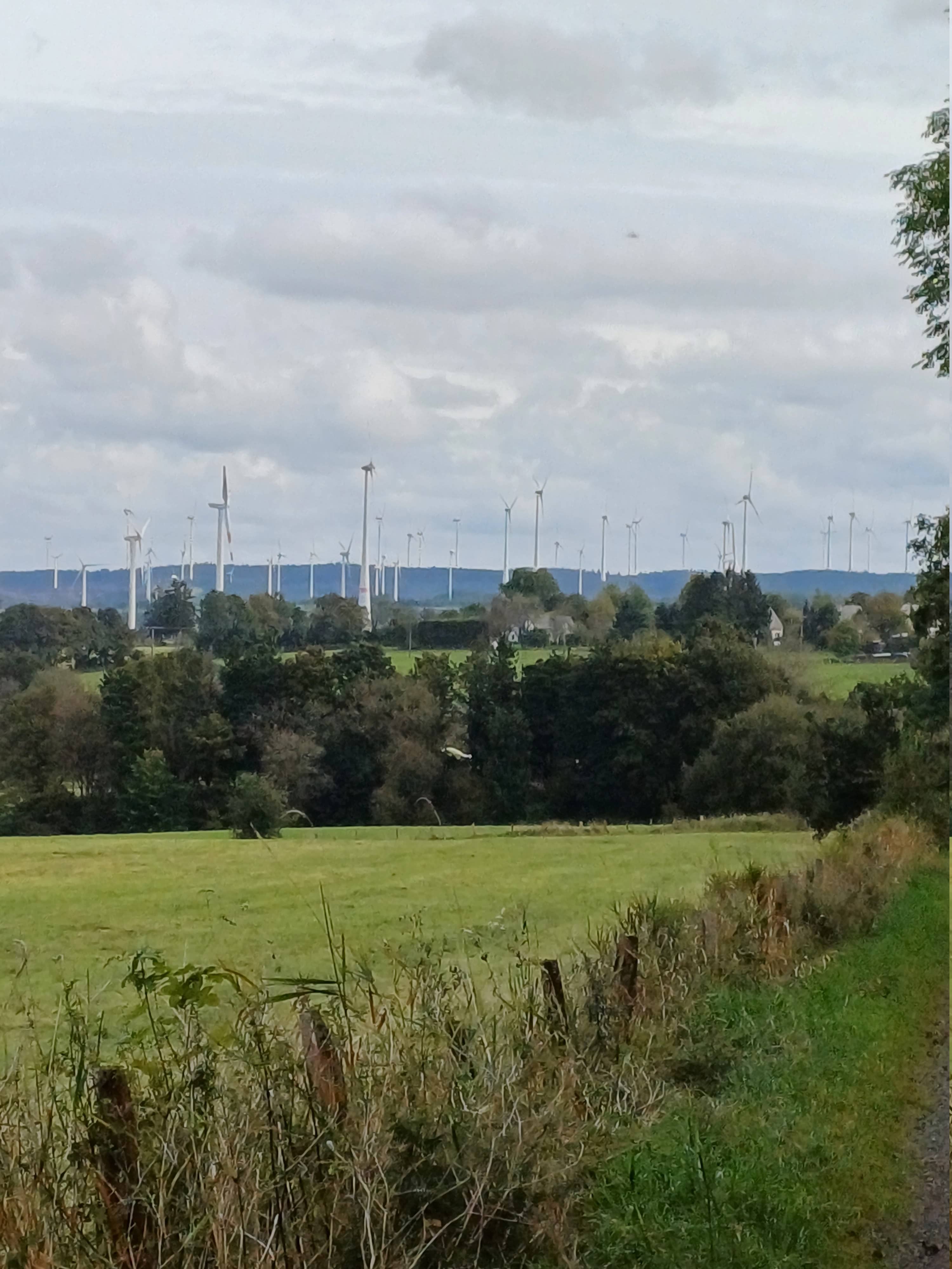 „Wie hier in Losheim sollte im großen Stil Photovoltaikanlagen gebaut werden und das mit den ganzen Windrädern im Hintergrund. Diese Gefahr wurde von der FDP-Fraktion schon immer krititisiert, stand aber mit ihren Bedenken allein im Gemeinderat.“ „Wie hier in Losheim sollte im großen Stil Photovoltaikanlagen gebaut werden und das mit den ganzen Windrädern im Hintergrund. Diese Gefahr wurde von der FDP-Fraktion schon immer krititisiert, stand aber mit ihren Bedenken allein im Gemeinderat.“